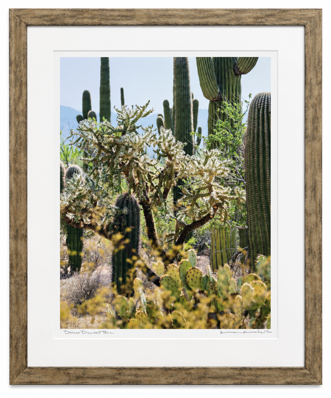 Kevin Kehoe
Desert Discovery Trail
$2,000 - 28x35 - Framed Print