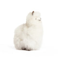 Plush Alpaca Stuffy