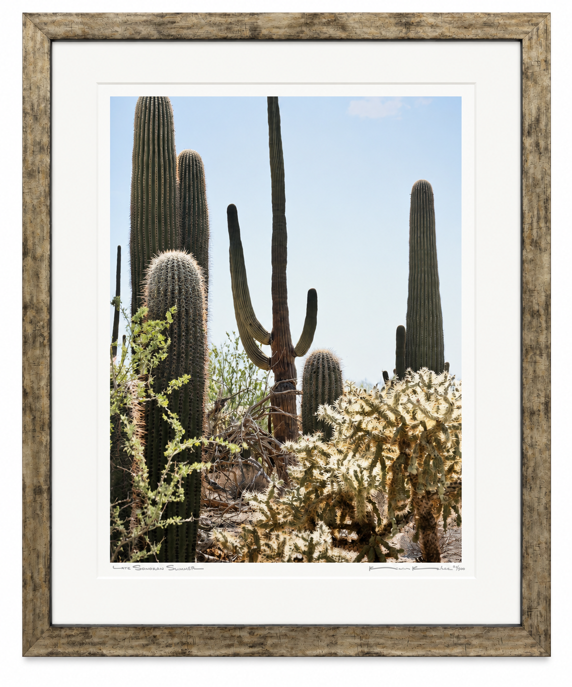 Kevin Kehoe
Late Sonoran Summer
$2,000 - 28x35 - Framed Print