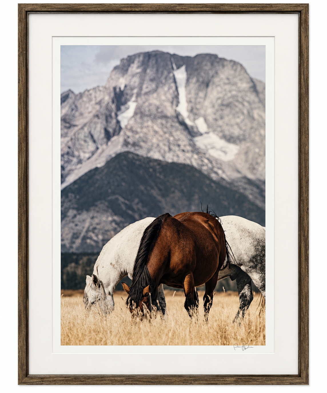 Paulina Peña
Wild Horses, Grand Teton
$2,800 - 32.5x44 - Framed Print
