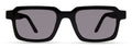 Hudson Sunglasses - Black - Sun